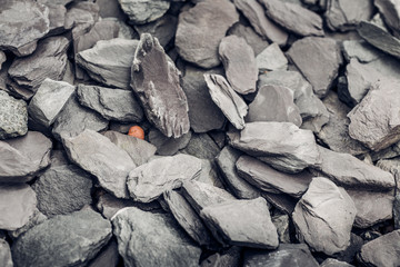 Different stone among grey slate 