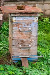 Weathered bee wooden hive, with green vegetation background