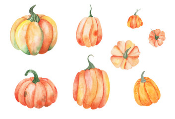Watercolor pumpkins set. Thanksgiving decorative elements isolated on white background.  Autumn harvest 8 items. 