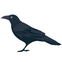カラス
