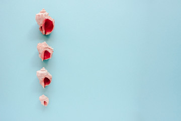 Sea shells with flower on blue background. Closeup view, flat lay