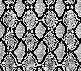 snake skin texture seamless pattern design