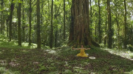 Woman sitting in lotus pose in forest