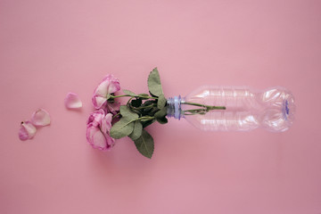 Peony flower in plastic bottle. Side view. Environmental protection and recycling 