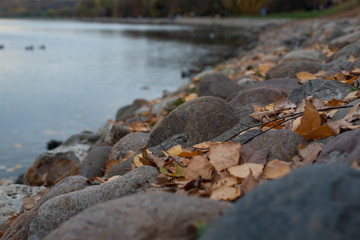 Autumn leaves on river.  Leaves lie on stones on embankment. Autumn in the park.