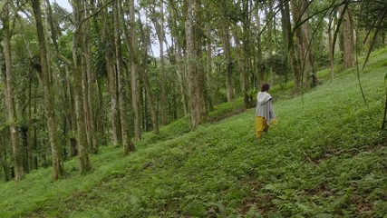 Woman walking in rainforest