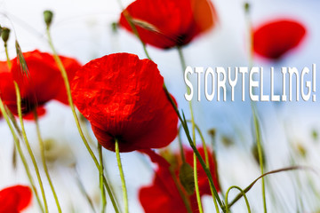Writing note showing Storytelling. Business concept for activity writing stories for publishing them to public Front view summer red color poppy flowers sky background