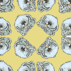 Seamless pattern with the image of a Pallas cat head on a yellow background.