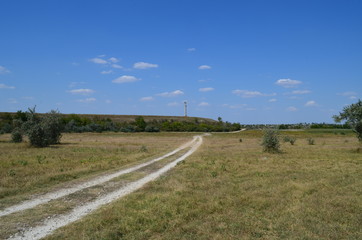 Landscape with field road near the Tyaginka village