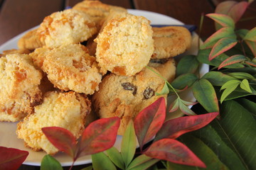 Sugar Wheat and Gluten Free Paleo Cookies
