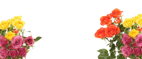 Red and yellow roses flower bouquet on white background