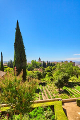 Famous garden in the Alhambra at Granada in Spain.