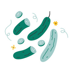 Simple vector colorful hand drawn illustration of cucumber ingredient with slices. Trendy flat naive style handdrawn drawing of vegetable. healthy diet cooking ingredient.