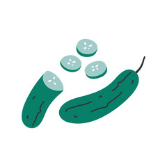 Simple vector colorful hand drawn illustration of cucumber ingredient with slices. Trendy flat naive style handdrawn drawing of vegetable. healthy diet cooking ingredient.
