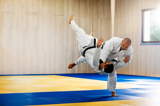 36 711 Best Judo Images Stock Photos Vectors Adobe Stock