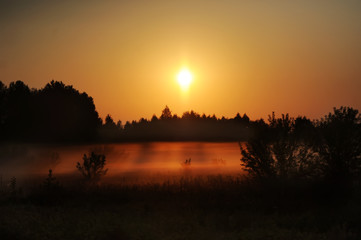 Silhouette of trees at sunset with orange sky