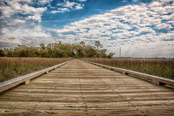 wooden pathway walk blue sky