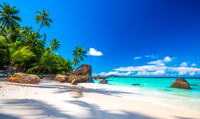 Typical beach in Seychelles with granite rocks - obrazy, fototapety, plakaty