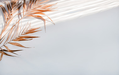 Flat lay palm tree on white with shadows background. Top view travel or vacation concept. Blank...