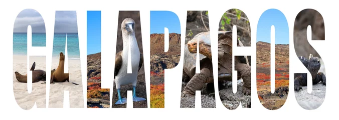 Foto op Canvas The Galapagos Islands letter concept   © gdvcom