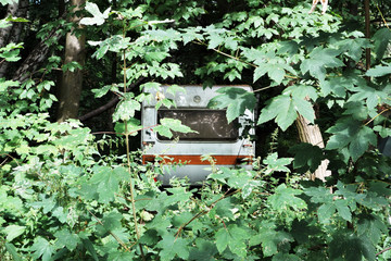 vintage mobile home hidden behind lush green bushes