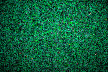Soccer field - Green Grass natural background texture