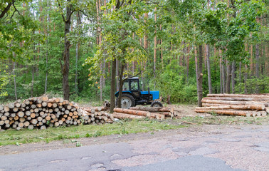Industrial deforestation by forestry workers using machinery
