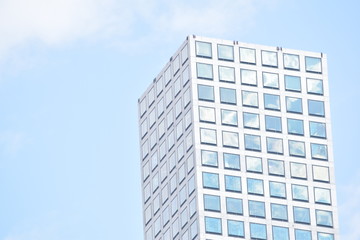 Obraz premium ny winter