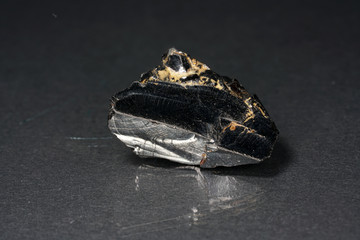 A black rock also called healing stone shungite, which consists mainly of carbon was photographed...
