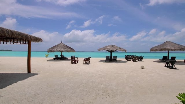 Sandy beach in the Maldives with loungers, deck chairs, umbrellas and palm trees. Green vegetation and white sand beach. 