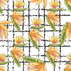 Tropic vintage background. Botanical vector illustration. Jungle flower botanical strelitzia pattern.
