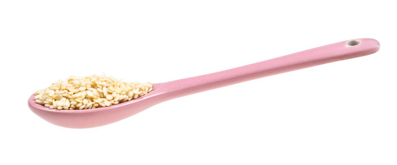 side view of ceramic spoon with white sesame seeds