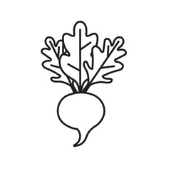beetroot vegetable icon- vector illustration