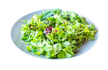 mesclun salad from arugula, mache, radicchio, etc,