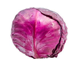 ripe red cabbage cutout on white