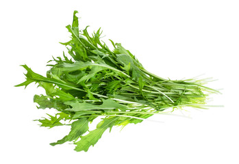 bundle of mizuna (Japanese leaf cabbage) herb