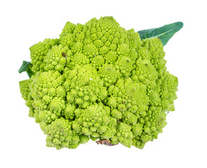 fresh romanesco broccoli cabbage cutout on white