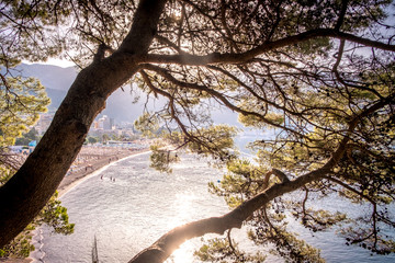 Blue sea with sun reflections and beach trough the trees at sunrise