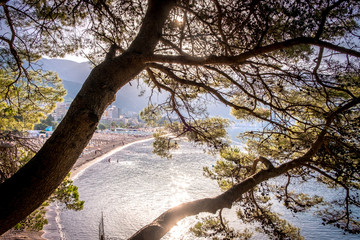 Blue sea with sun reflections and beach trough the trees at sunrise