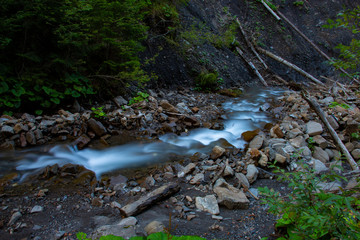 Stream in the forest