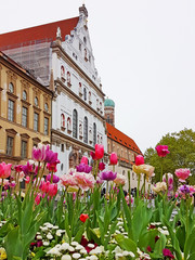 Fußgängerzone München mit Tulpenbeet und Blick zur Michaelskirche und Frauenkirche