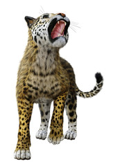 3D Rendering Big Cat Jaguar on White