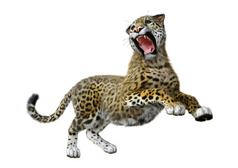 3D Rendering Big Cat Jaguar on White