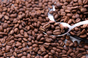 roasted coffee beans in spoon