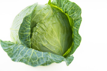 Fototapeta premium Green cabbage head isolated.