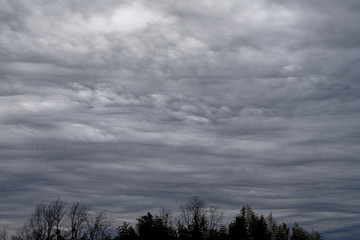 The sky where the rain clouds swell