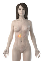 Naklejka premium 3d rendered medically accurate illustration of a womans gallbladder cancer