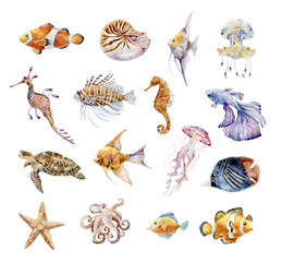 Watercolor graphic of Sea Animals. Underwater world.