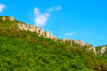 view of the famous Gorges du Tarn, canyon dug by the Tarn between Causse Méjean and the Causse de Sauveterre
