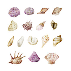 Watercolor graphic. Underwater world.